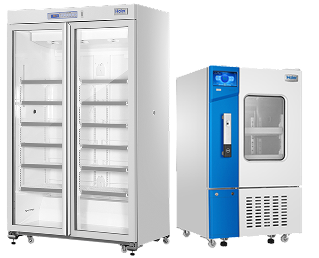 Менеджмент и сервис в трансфузиологии