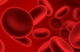 It is interesting! Blood secrets