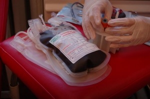 Report of the Chief of the Dnipropetrovsk BTS