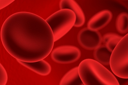 It is interesting! Blood secrets